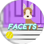 Facets