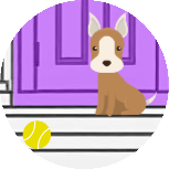 Little Dog with ball