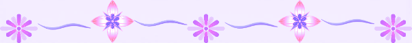 decorative line