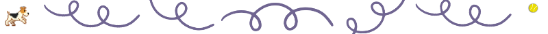 decorative line