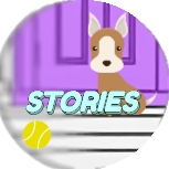 Stories